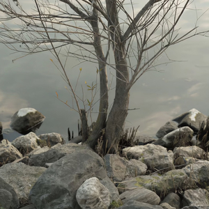 化妆舞会1998罗丽星
